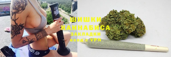 мдпв Заречный
