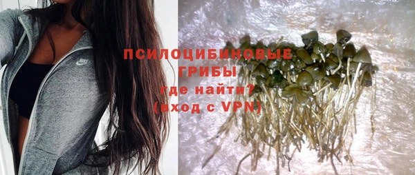 твердый Богородицк