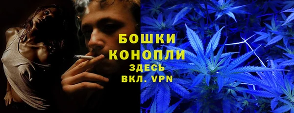 марки lsd Белокуриха